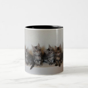 Café Em Dois Tons Caneca dos gatinhos do racum de Maine