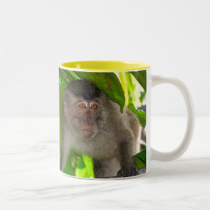 Café Em Dois Tons Caneca dos macacos de Macaque