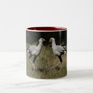 Café Em Dois Tons Caneca dos pássaros de secretário da dança