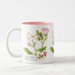 Café Em Dois Tons Caneca floral clássica - rosa de cão