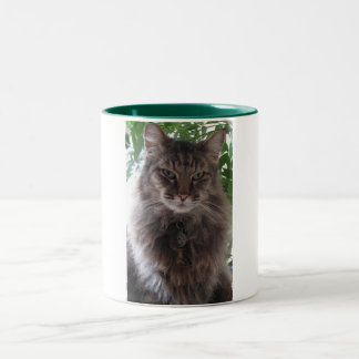 Café Em Dois Tons Caneca principal do gato de racum