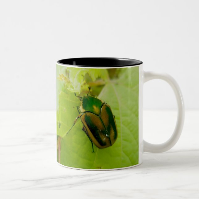 Café Em Dois Tons Caneca verde do besouro de junho (Direita)