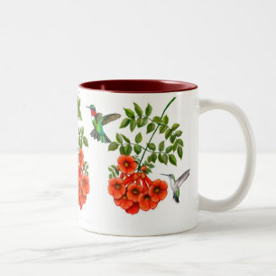 Café Em Dois Tons Colibris Throated do rubi na caneca do Creeper de