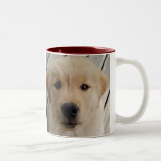 Café Em Dois Tons Filhote de cachorro da CANECA do golden retriever
