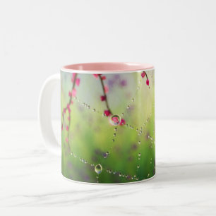 Café Em Dois Tons Gemas de uma caneca da manhã de Primavera