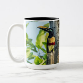 Café Em Dois Tons grande caneca Castanha-orelhuda de Aracari