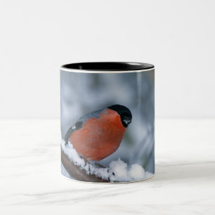 Café Em Dois Tons Homem Bullfinch na Caneca de Neve