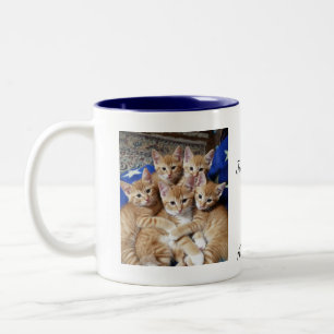 Café Em Dois Tons Padrão de foto de gatos, Caneca