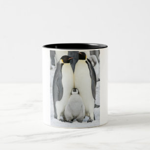 Café Em Dois Tons Pinguins de imperador com pintinho - caneca