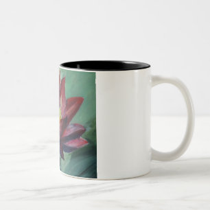 Café Em Dois Tons Preto cor-de-rosa de Lotus caneca do Dois-Tom de