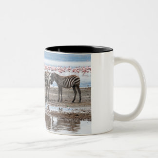 Café Em Dois Tons Zebra na caneca de Nakuru Kenya do lago