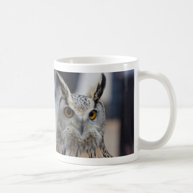 Café Fim da coruja de Eagle do Siberian acima da caneca (Direita)