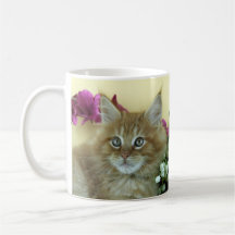 Gatinho do racum de Maine da caneca