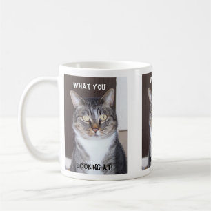 Café Gato de gato malhado que você, olhando a caneca d