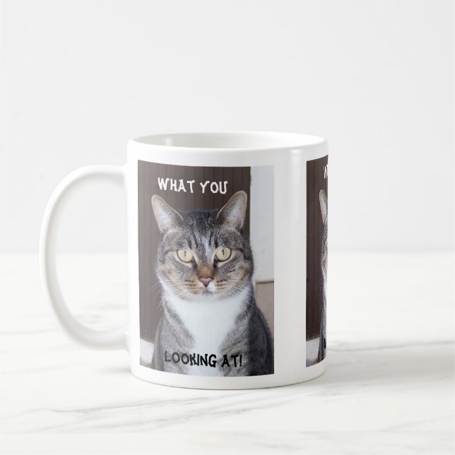 Café Gato de gato malhado que você, olhando a caneca de (Esquerda)