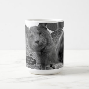 Café Gato que toma a caneca de Purrfect Selfie