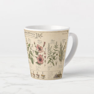 Café Latte Caneca de 12 oz de Ervas Botânicas –