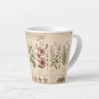 Café Latte Caneca de Ervas Botânicas –