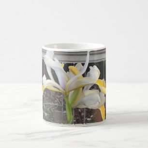 Café Linda Tulpa De Rico Na Caneca Elegante