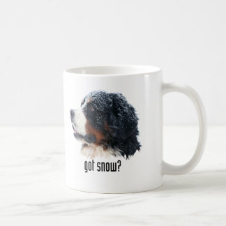 Café neve obtida? Caneca do cão de montanha de Bernese