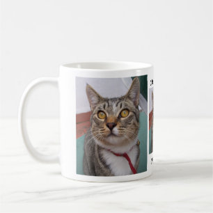Café O gato de gato malhado pode mim ter alguma caneca