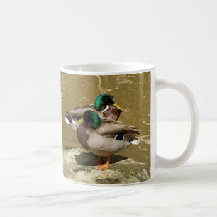 Café Patos do pato selvagem, caneca de I LoveDaddy