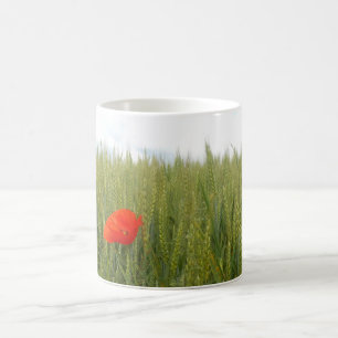 Café Poppies numa caneca de trigo