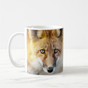 Café Rosto de Raposa Vermelha, Caneca Fechada