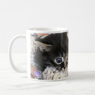 Café Uau, Eu Admiro Você! Caneca de Gato