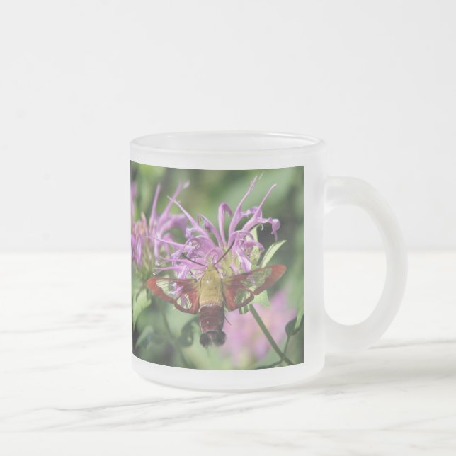 Café Vidro Jateado Caneca da traça de colibri (Direita)