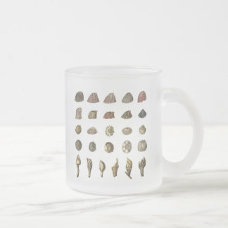 Café Vidro Jateado Caneca do Barnacle de Charles Darwin