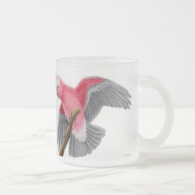 Café Vidro Jateado Caneca do Cockatoo de Galah (Direita)