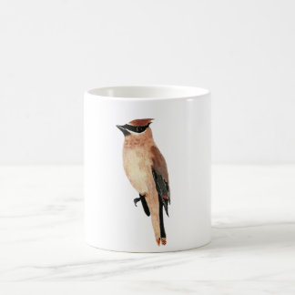 Café Waxwing de cedro da caneca