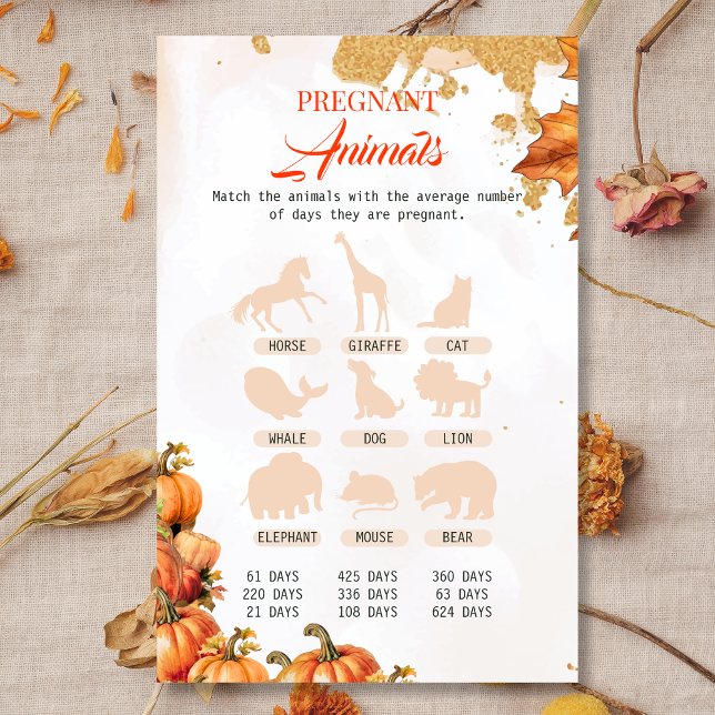 Cair Colheita de Animais Grávidos Jogo de Chá de f (Criador carregado)