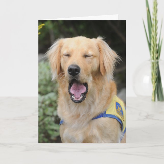 Cair lá no cartão (Frente)