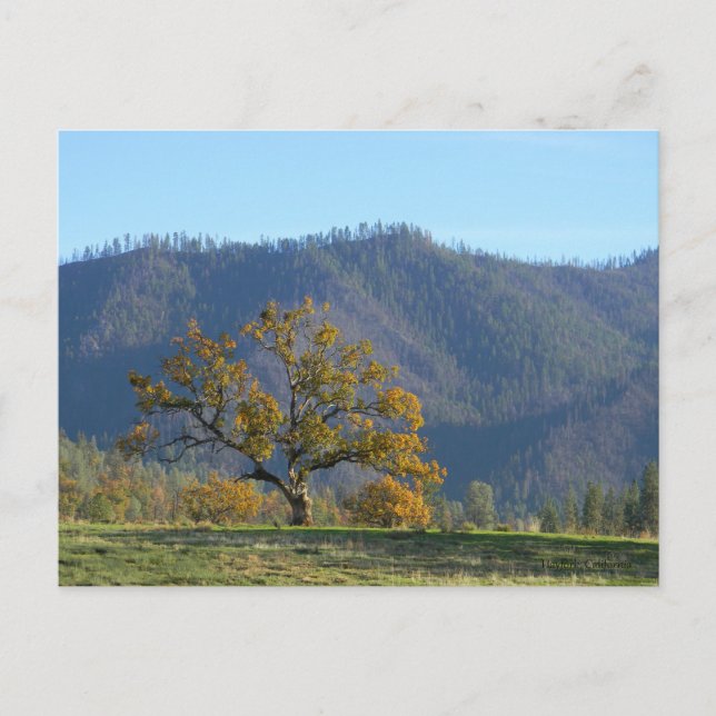 Cair nas montanhas... cartão postal (Frente)