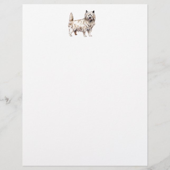 Cairn Terrier (Frente)