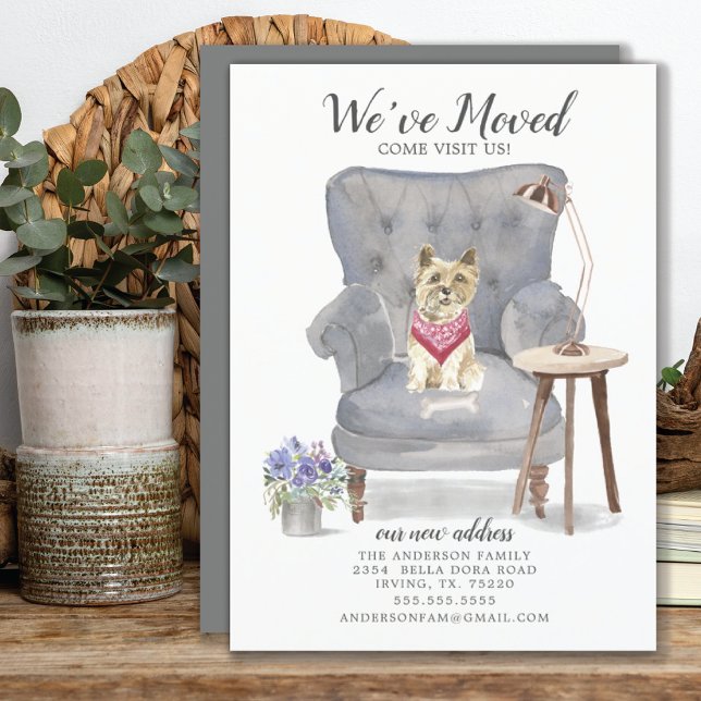 Cairn Terrier Dog | Anúncio de mudança (Criador carregado)