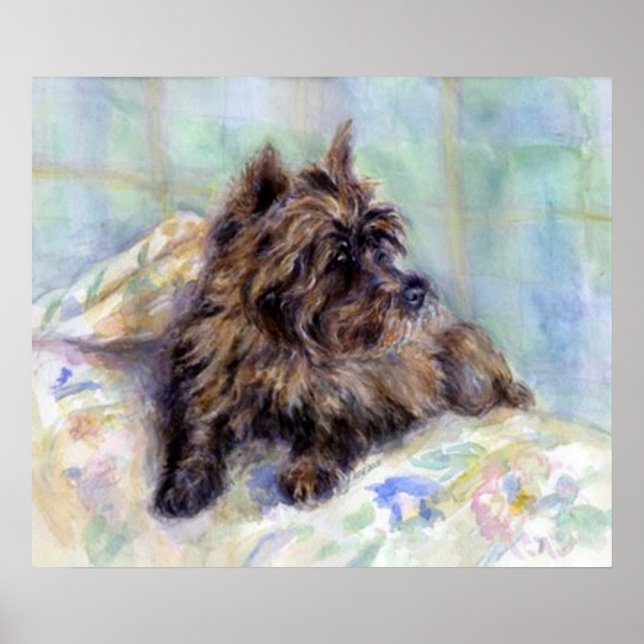 Cairn Terrier Dog Portrait Poster (Frente)