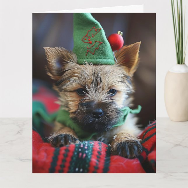 Cairn Terrier Elf Puppy Cartão de Natal (Frente)