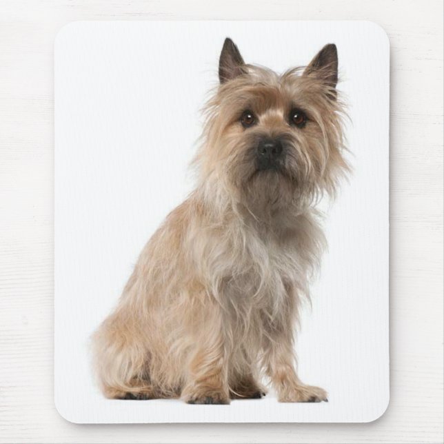 Cairn Terrier Puppy Dog Mousepad (Frente)