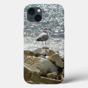 Caivota e mar