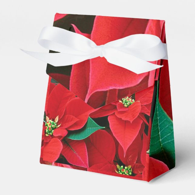 Caixa de Favor da Poinsettia de Natal (Frente)