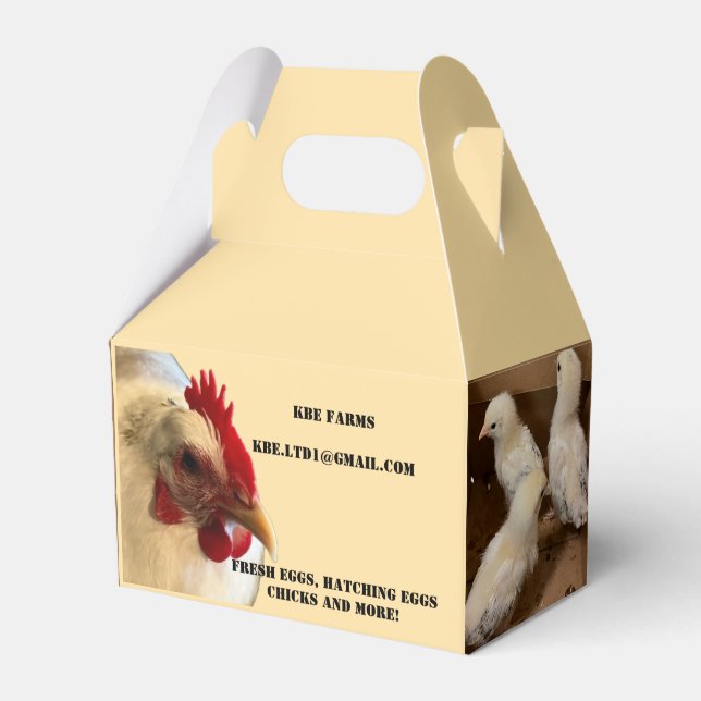 Caixa de Favor de Frango (Frente)