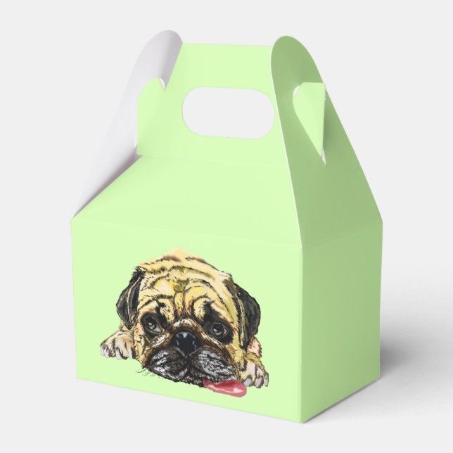 Caixa de Favor Engraçado com Cachorro Adormecido (Frente)