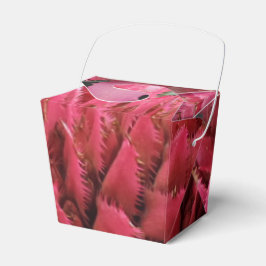 Caixa de Favoritos da Saída da Flor Aecmea