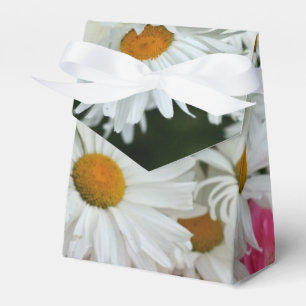 Caixa de Favoritos Daisy