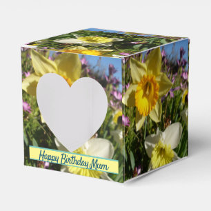 Caixa de Favoritos do Bolo Amarelo Daffodil Amarel