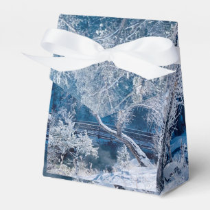 Caixa de Favoritos do Casamento no inverno de Neve