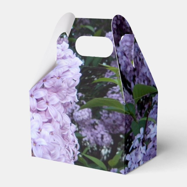 Caixa de Favoritos do Partido Lush Lilacs (Frente)